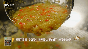 广东小伙林振烔养澳洲龙虾走出创业致富路一年收入500万