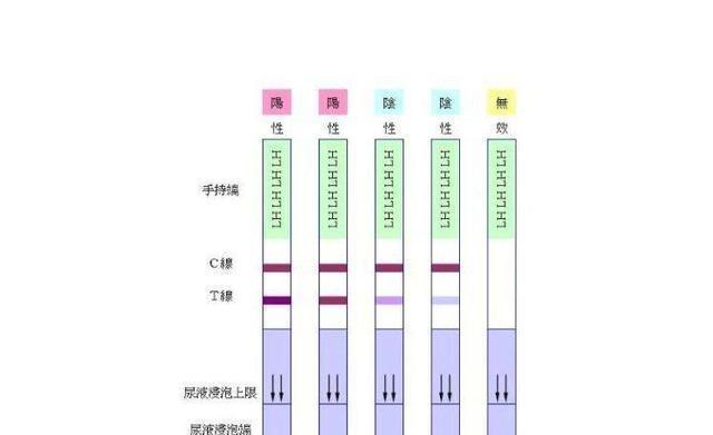 如何更好的排卵