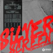 Silver Screen (Shower Scene)(David Guetta/Felix Da Housecat/Kittin)