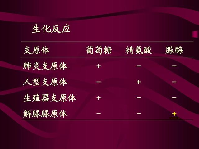 孩子肺炎复发怎么办