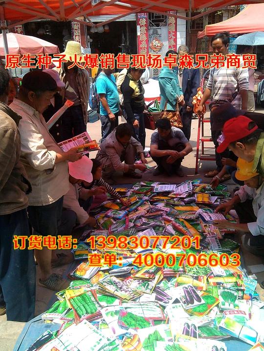 跑江湖最新产品原生蔬菜种子摆摊展销会倾情推介火爆销售.