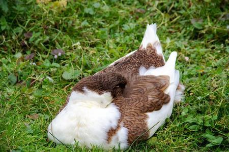 女生睡眠不好会影响生育吗