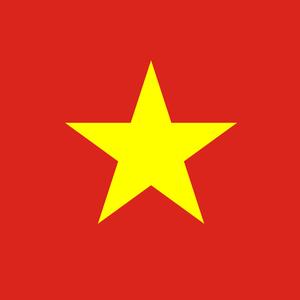 越南社会主义共和国的国旗