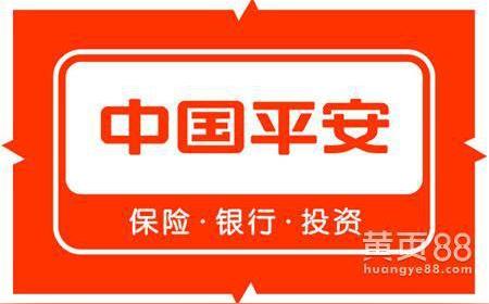 我用了平安普惠贷款,做生意赔没了,还不上了,外包公司