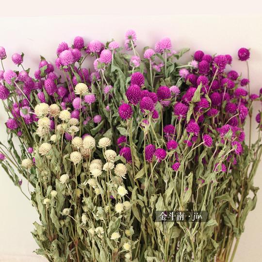 千日红干花束永生花云南干花插花diy花环花材配花配草基地直销_7折