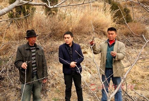 宋磊大学毕业回乡创业将荒山变果园