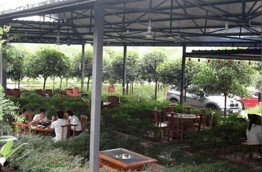 回农村创业十万块租二十亩地，这些项目可以考虑，比打工强多了