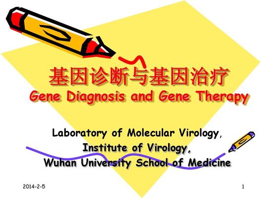 bb基因诊断,治疗ppt