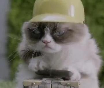 看不我大爽，极度不爽表情包