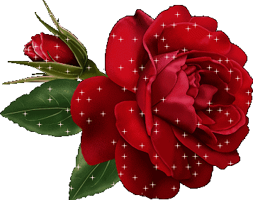动态表情一朵玫瑰花