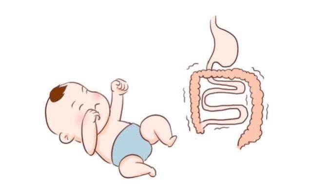 尿黄多吃什么食物好
