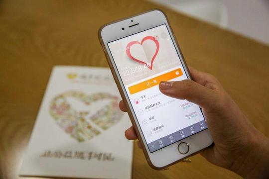 广东省青马工程走进随手记探讨公益账本创新服务