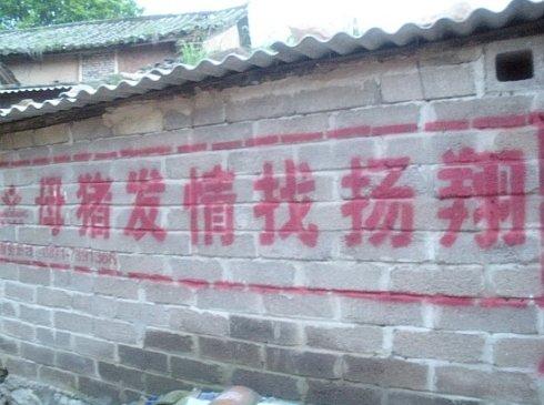 农村广告