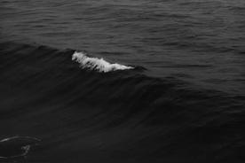 今年一定带你去看海(PeaceHotel和平饭店)