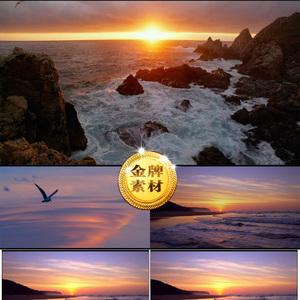 上海日出朝阳日出大海海浪海上夕阳海鸥飞翔高清实拍视频素材