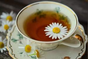 菊花茶加蜂蜜有什么好处