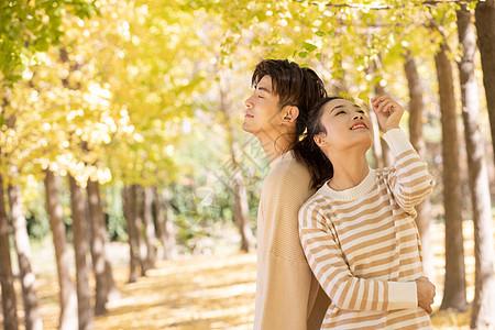 情侣在树林里欣赏秋天美景图片下载