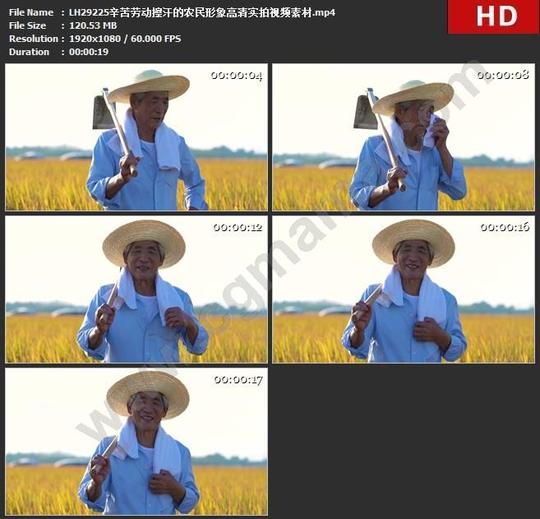 lh29225辛苦劳动擦汗的农民形象高清实拍视频素材
