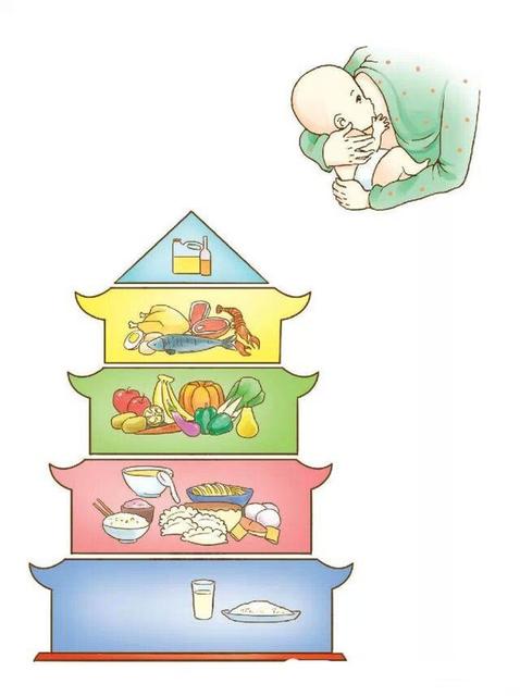 1-12个月宝宝的喂养大全