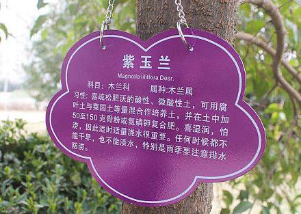 苗木树牌预览小图