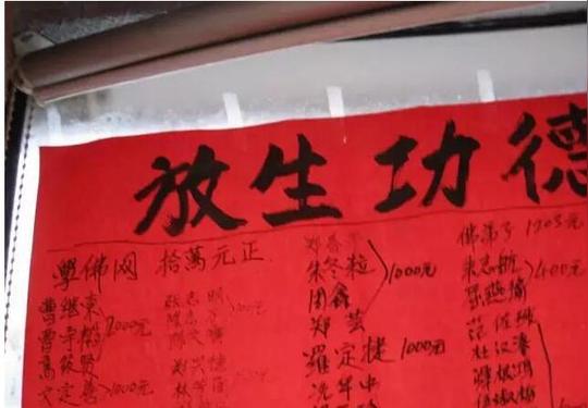 揭秘:"放生"背后的暴利赚钱套路,一般人不敢做这个项目!