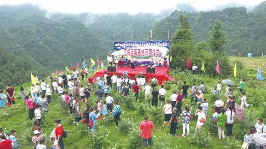 梦飞千仞演绎湘西蓝莓王国
