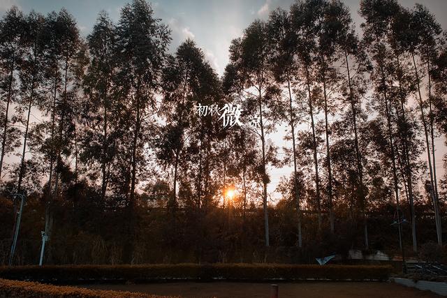 初秋的夜晚说说心情