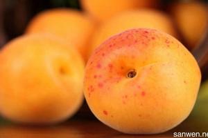 桃子属性是什么