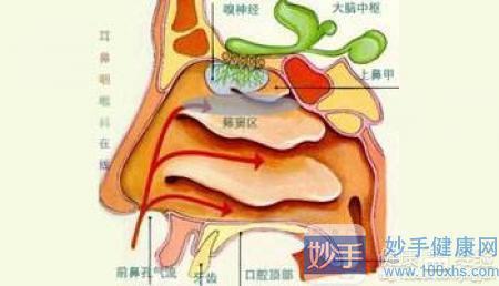 孩子鼻窦炎急性和慢性的区别