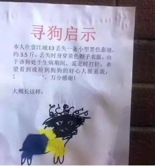 如何逗爸妈开心