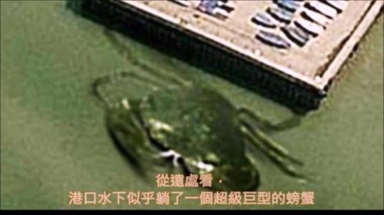 排名前十的谷歌地图拍摄到的恐怖照片胆小慎入!