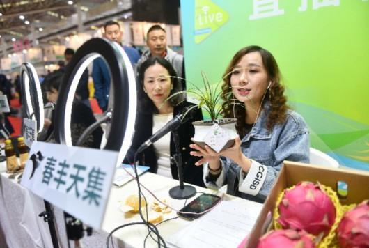 去哪找网红直播带货_网络直播带货顺口溜_快手直播带货