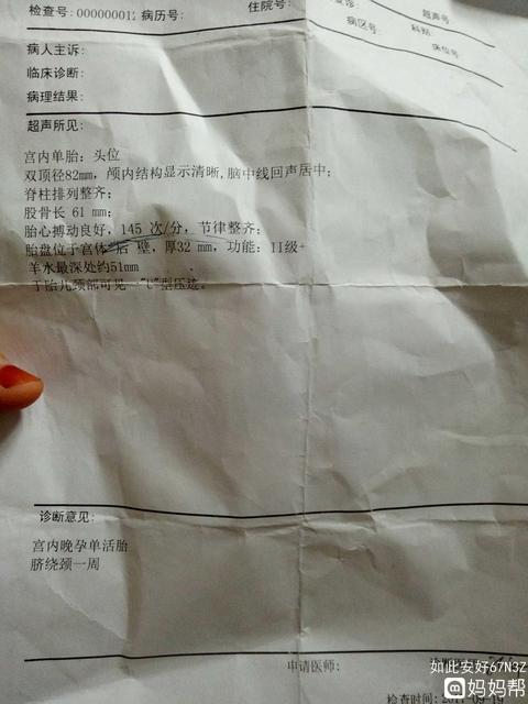 生男生女吃啥