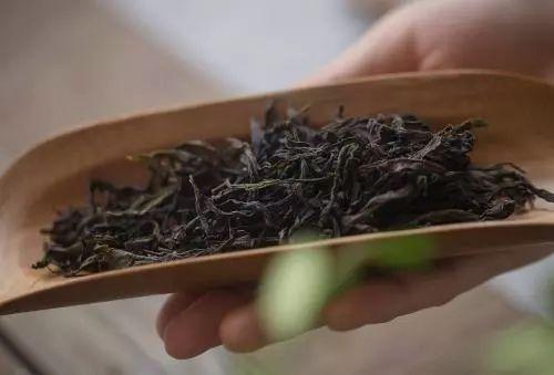 鸭屎香是什么茶功效