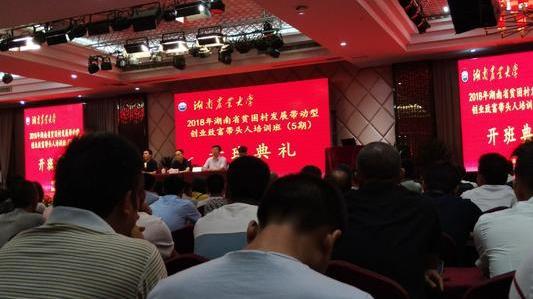 如何创业致富带头人