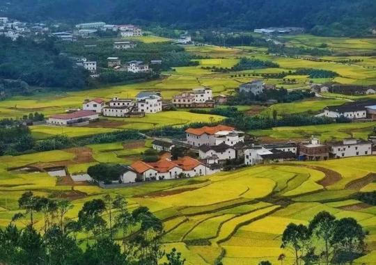 2020年,农民在家创业哪些项目能赚钱?这4个行业在农村