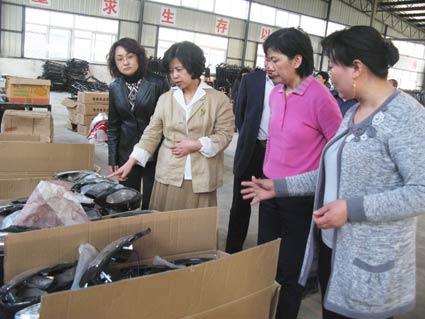 农民工就业创业情况.-丰县妇联省妇联领导来丰调研返乡女农民工