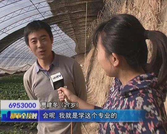 【头条】我们这一年:草莓小伙贾建冬的创业路