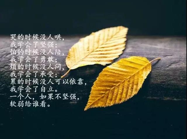 记录宝宝第一次叫妈妈说说