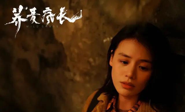 荞麦疯长很不好看吗