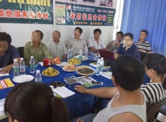 易县分布式光伏电站产品运营小组:-保定市云计算微创业协会农民课