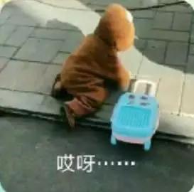 那我走我很丑吗表情包