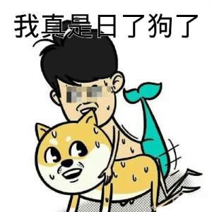 我真是日了狗了搞笑表情包