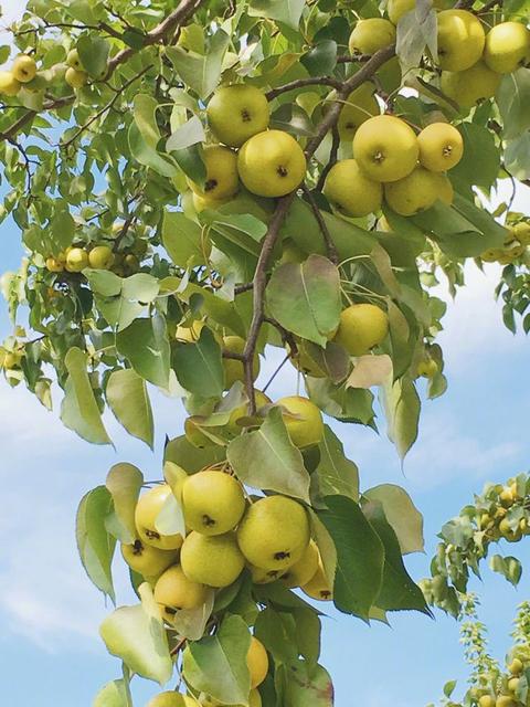 想回家买不到票的说说