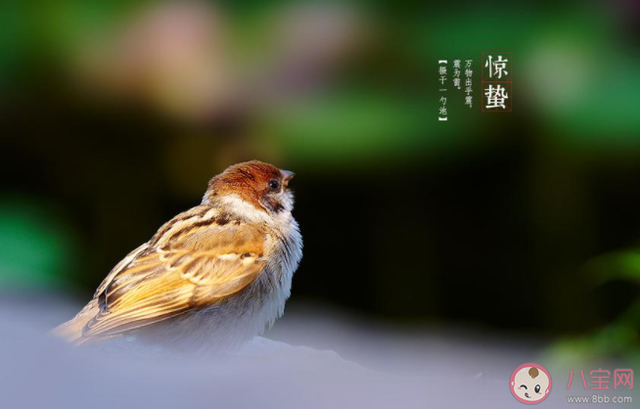 霜降发朋友圈的说说