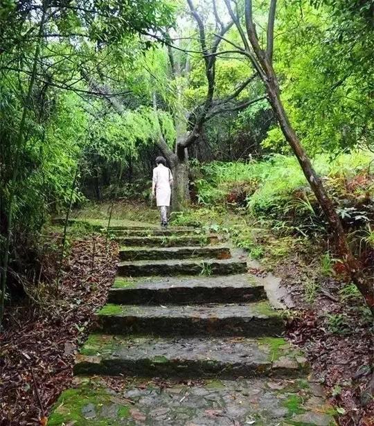 观音山天气是刚刚好适合爬山,白天不下雨,偶尔来点小阳光,清凉的风在