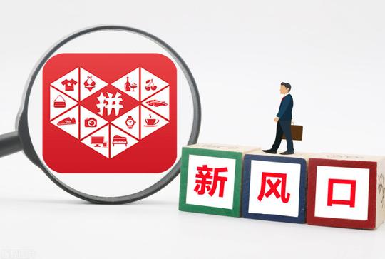 新知达人,拼多多无货源店群创业新项目，新手如何运营店铺?