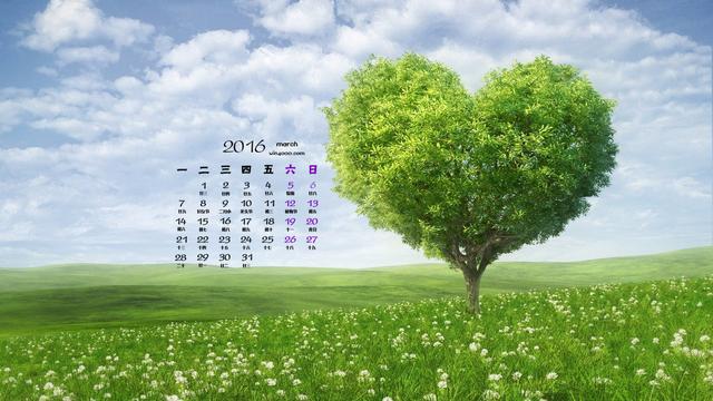 关于树叶黄了的说说