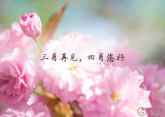 2020第一天发朋友圈的说说