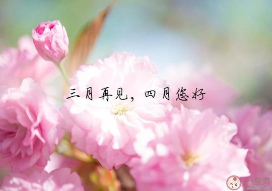 三月再见四月你好|2020三月再见四月你好朋友圈文案说说大全三月再见四月你好发朋友圈文案句子